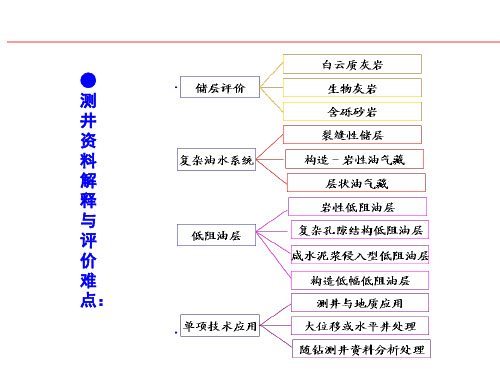 测井资料解释与评价难点