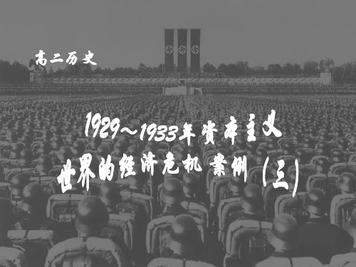 1929～1933年资本主义世界的经济危机案例(三)asp