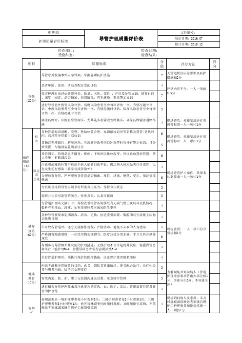 导管护理质量评价表 -新