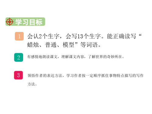 部编版三年级下册语文22我们奇妙的世界公开课课件.ppt