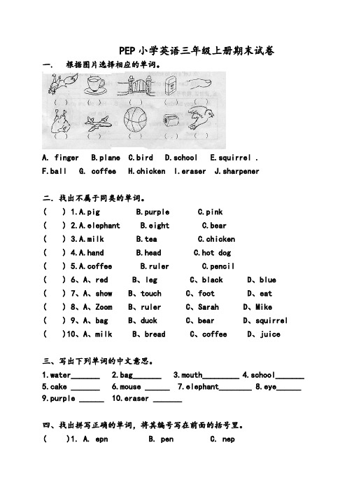 三年级上英语期末试卷-全能练考人教PEP-精华版