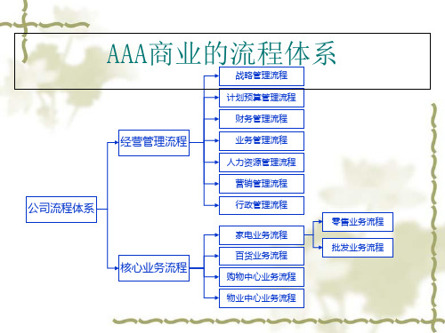 公司主要管理流程和家电业务流程方案