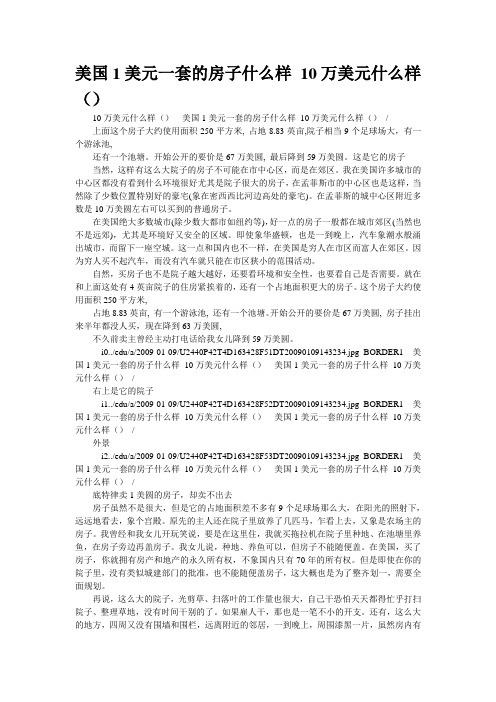 美国1美元一套的房子什么样 10万美元什么样(精品)