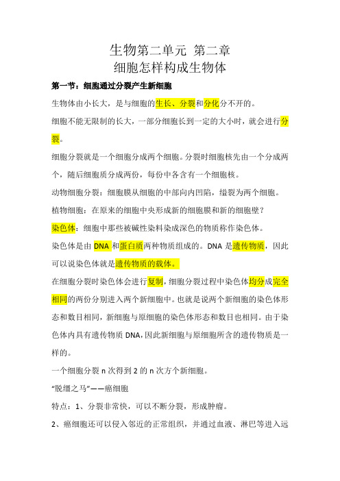 七年级生物上册 第二单元 第二章 细胞怎样构成生物体 知识点总结梳理