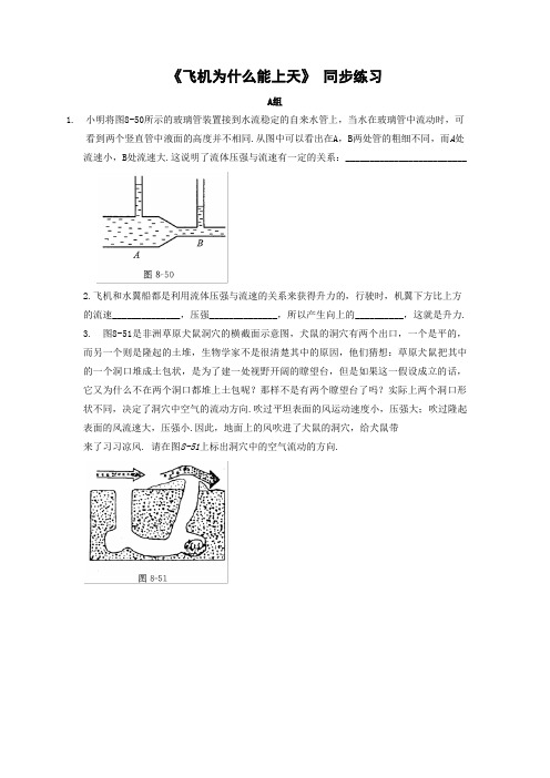 北师大版-物理-八年级下册-《飞机为什么能上天》 同步练习B