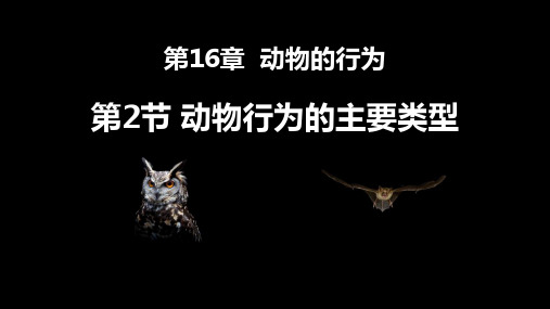 新苏教版八年级生物上册《动物行为的主要类型》教学课件