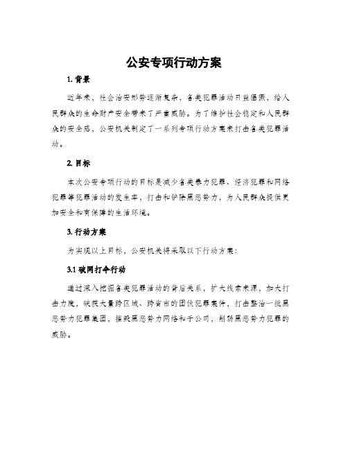 公安专项行动方案