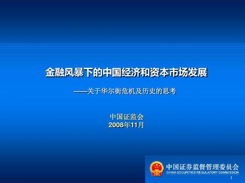 08年中国证监会报告