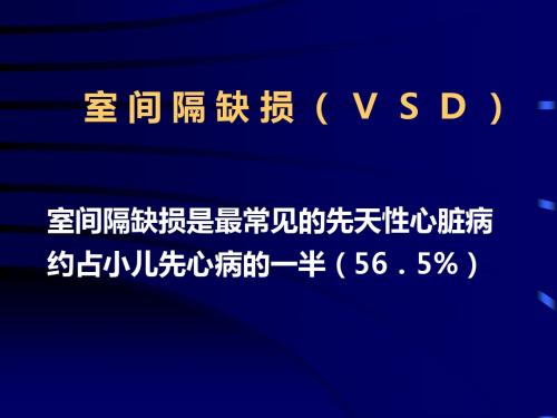 室间隔缺损VSD-PPT课件