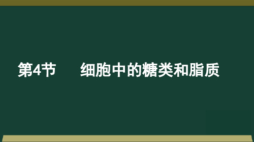 江西省新余市第四中学高三一轮复习生物必修一课件：第2章第4节细胞中的糖类和脂质(共28张PPT)