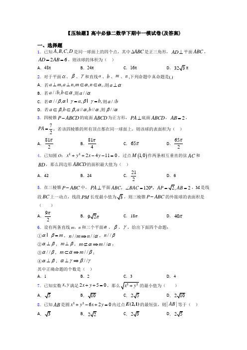 【压轴题】高中必修二数学下期中一模试卷(及答案)