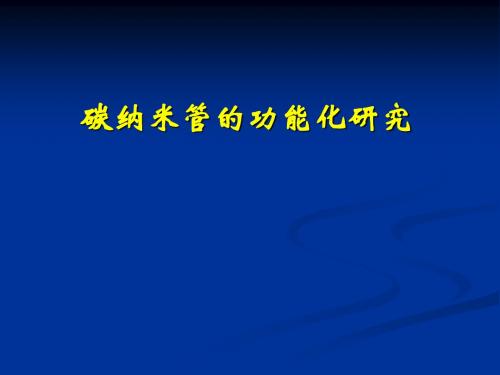 碳纳米管的功能化研究