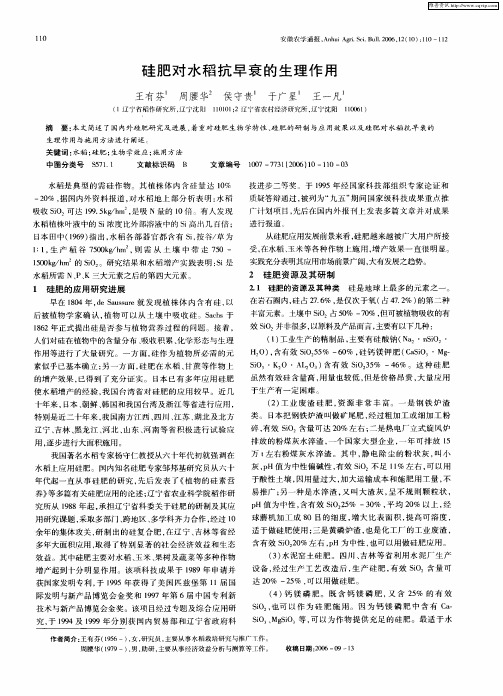 硅肥对水稻抗早衰的生理作用