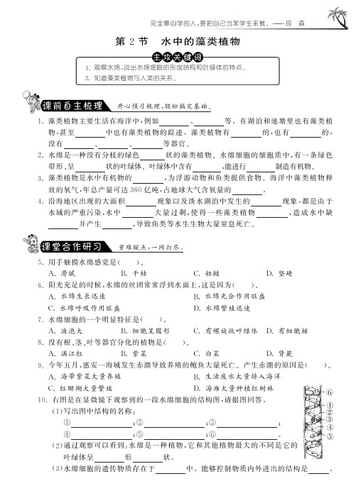 七年级生物下册 第五单元 第10章 第2节 水中的藻类植物课课练(pdf版) 苏科版