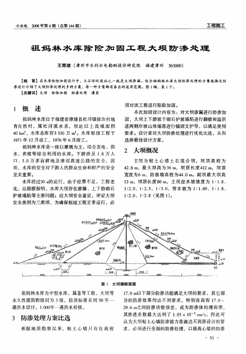 祖妈林水库除险加固工程大坝防渗处理