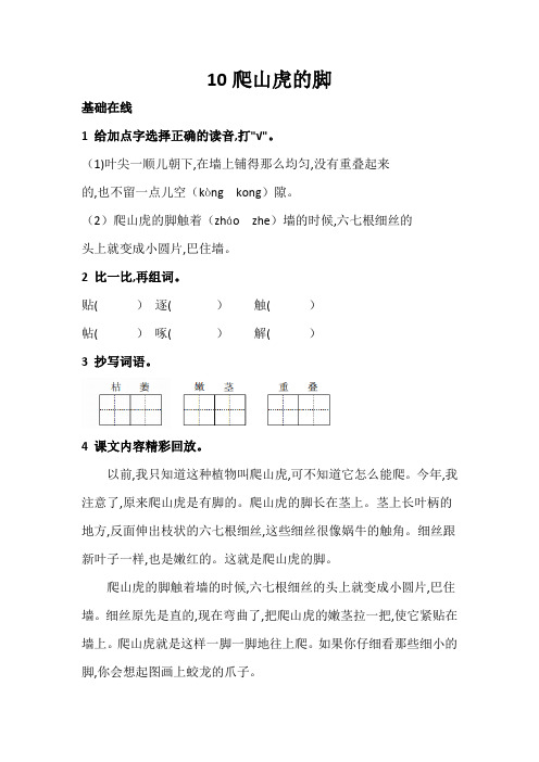 部编版四年级语文上册《爬山虎的脚》同步练习(附答案)