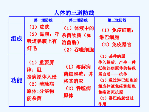 人体的三大防线