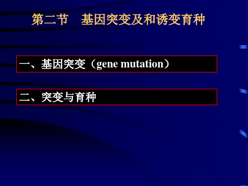 基因突变与诱变育种