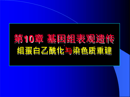 26-第10章 基因组表观遗传-组蛋白乙酰化