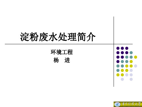 淀粉废水处理简介