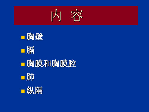 局部解剖学10胸部演示教学