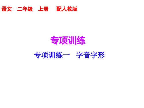 部编版二年级上册语文课件-专项训练一 ppt上课用