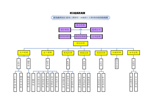 12项目组织机构图（含安全组织架构、总承包管理配合服务体系）