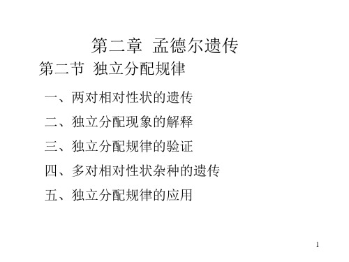 孟德尔遗传、独立分配规律