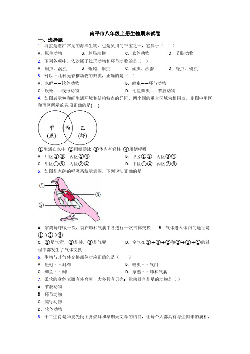 南平市八年级上册生物期末试卷