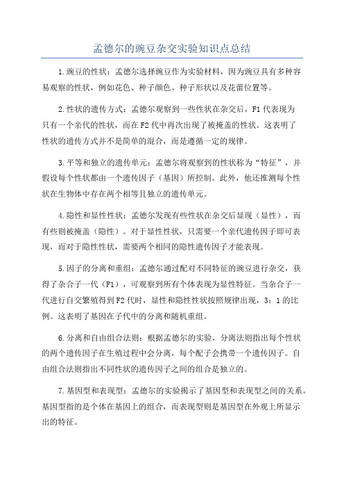 孟德尔的豌豆杂交实验知识点总结