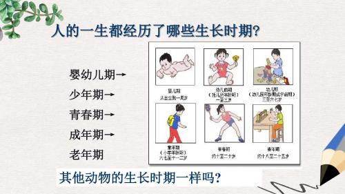 【推荐】精选七年级科学下册第1章代代相传的生命1.3动物的生长时期1课件新版浙教版