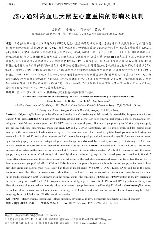 脑心通对高血压大鼠左心室重构的影响及机制