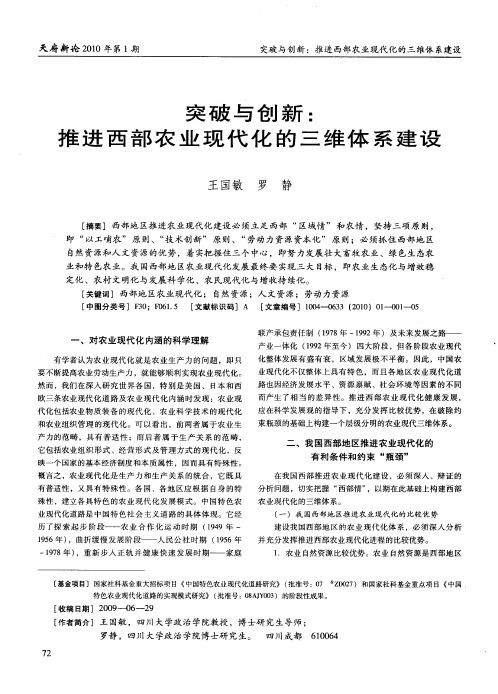 突破与创新：推进西部农业现代化的三维体系建设