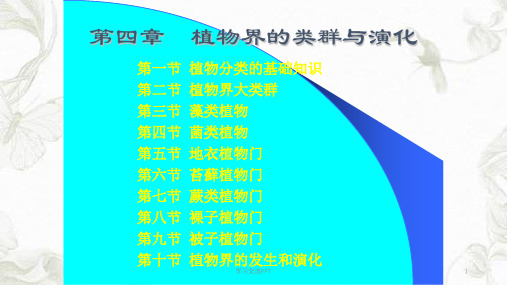 植物界的类群与演化课件