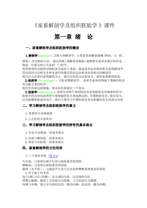 家畜解剖学及组织胚胎学复习概要