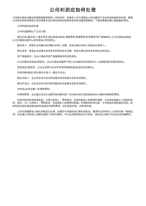 公司利润应如何处理