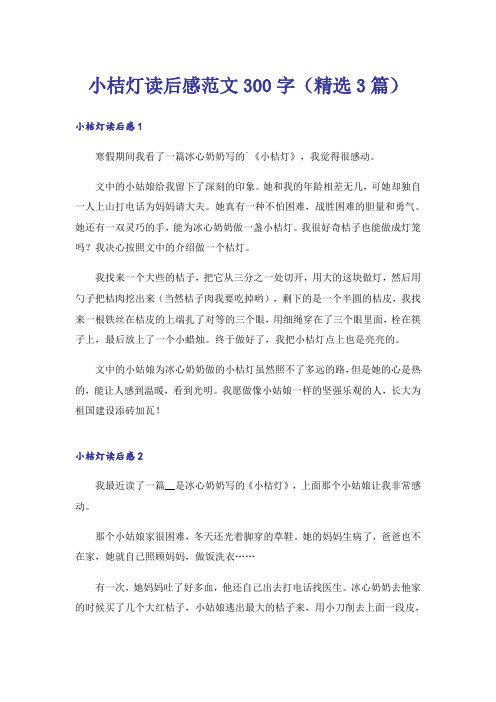 小桔灯读后感范文300字(精选3篇)