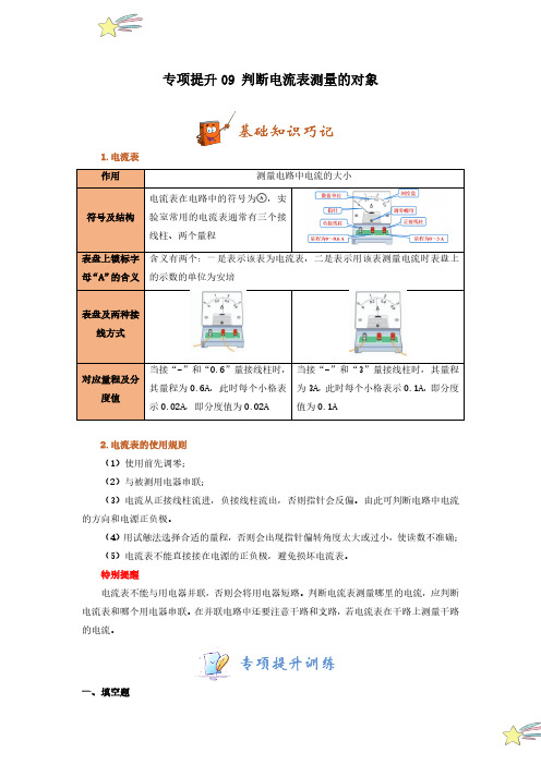 专项提升09 判断电流表测量的对象(学生版)24-25学年九年级物理全册重难点专项提升训练(人教版)