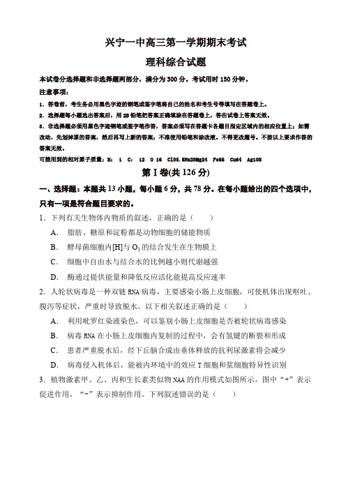 广东省兴宁市第一中学高三上学期期末考试理科综合试卷(有答案)