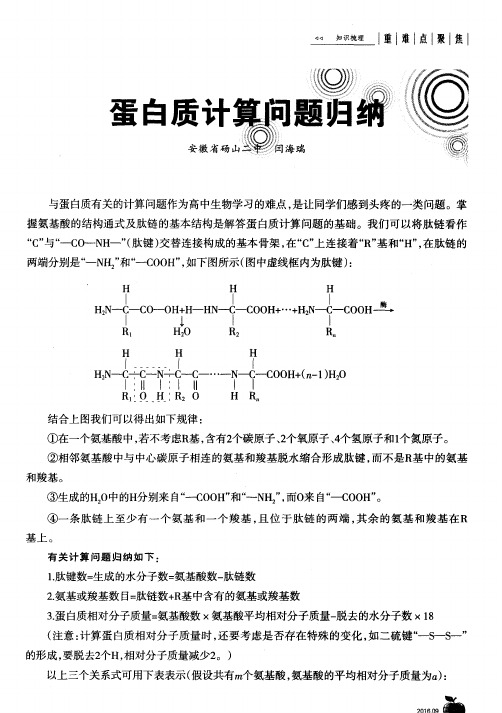 蛋白质计算问题归纳