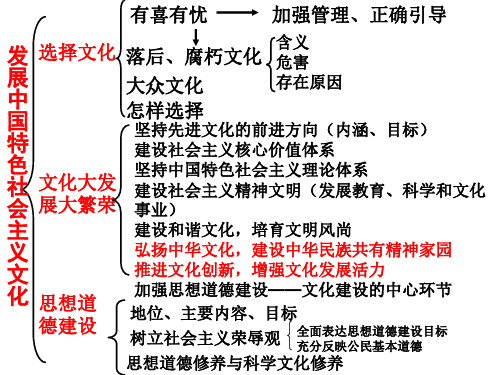 高二政治推动社会主义文化大发展大繁荣(201911新)