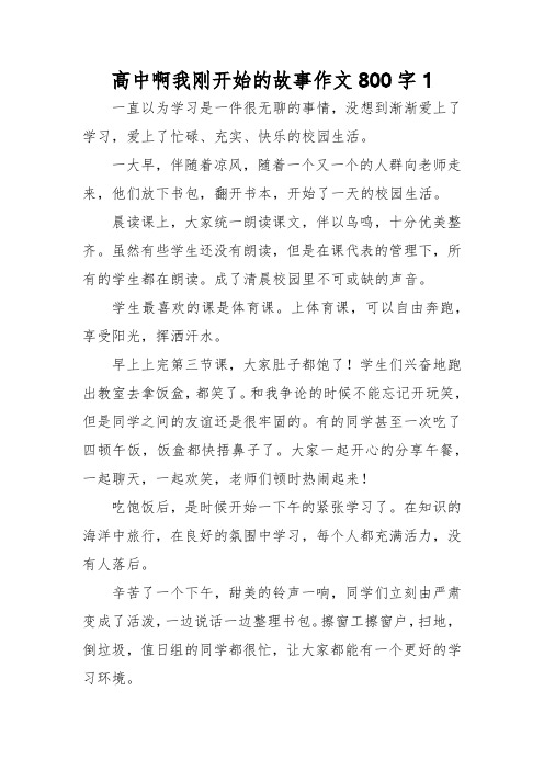 高中啊 我刚开始的故事作文800字