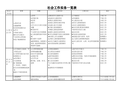 中级社会工作师  社会工作实务(内部资料)