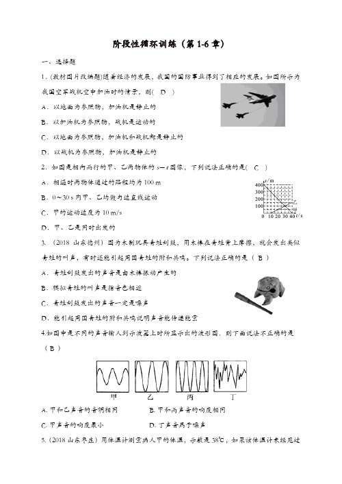 2019年中考物理总复习系列6阶段性循环训练第1_6章