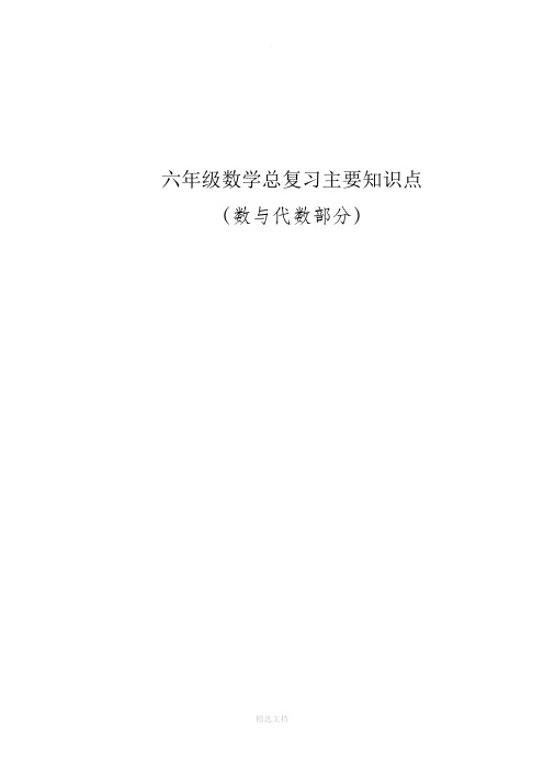 六年级数学总复习主要知识点(数与代数)