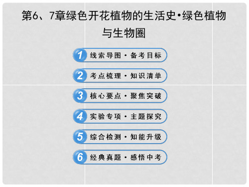 中考生物 第6、7章 绿色开花植物的生活史 绿色植物与生物圈配套课件 北师大版