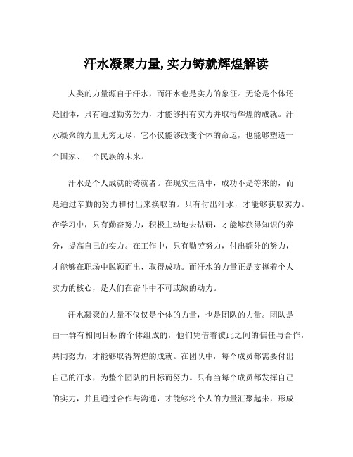 汗水凝聚力量,实力铸就辉煌解读