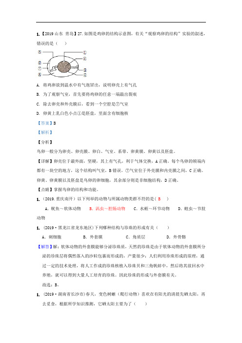 2019中考生物真题分类汇编——动物类群