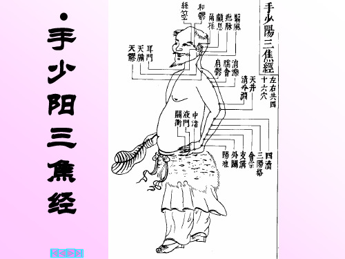 经络学-手少阳三焦经解析