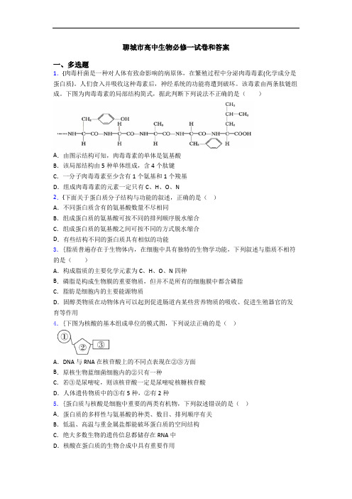 聊城市高中生物必修一试卷和答案